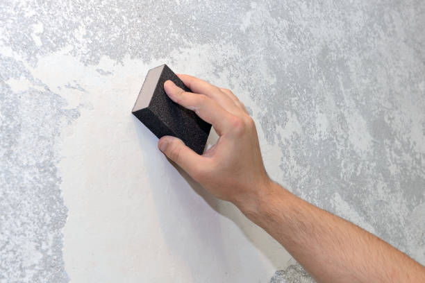 Reliable Englewood, OH Mold Removal Solutions
