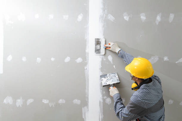 Best Biohazard Mold Removal  in Englewood, OH