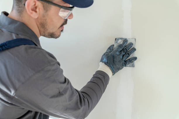 Best Basement Mold Removal  in Englewood, OH