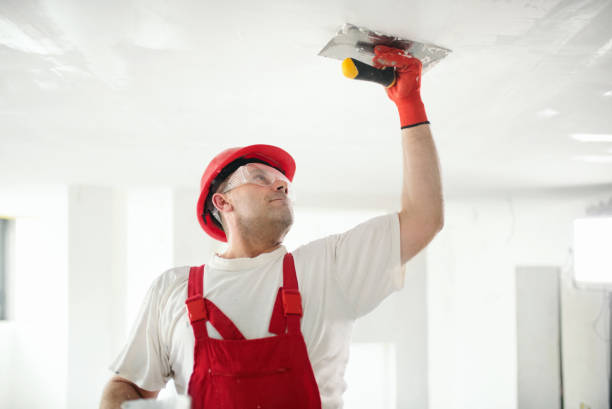 Best Comprehensive Air Testing for Mold Contaminants  in Englewood, OH