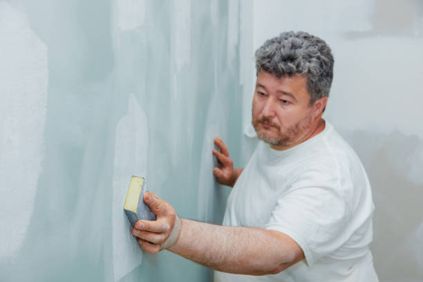 Best Mold-Related Health Consultation  in Englewood, OH