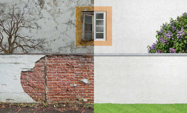 Best Mold Remediation for Healthcare Facilities  in Englewood, OH